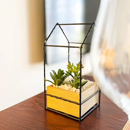Appartement Le Singulier Deux